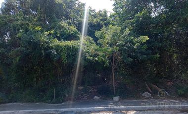Terreno en Venta o  Renta en Ejido Sur Playa del Carmen C3898