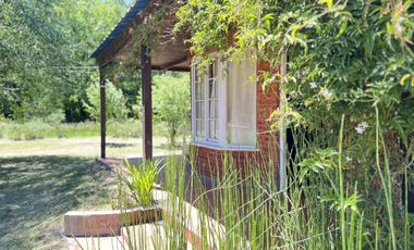 verdadero refugio de paz enclavado en un terreno de 1950m2 |La Araucaria|Salvador María