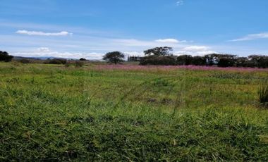 Terreno en Renta en San Miguel Totocuitlapilco, Metepec