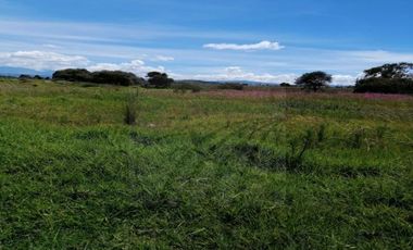 Terreno en Renta en San Miguel Totocuitlapilco, Metepec