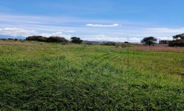 Terreno en Renta en San Miguel Totocuitlapilco, Metepec