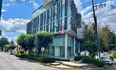 Local comercial en Renta Avenida Orizaba Xalapa Ver planta BAJA