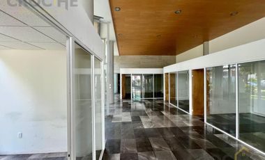 Local comercial en Renta Avenida Orizaba Xalapa Ver planta BAJA