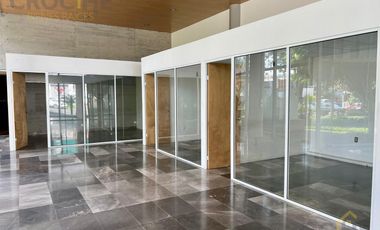 Local comercial en Renta Avenida Orizaba Xalapa Ver planta BAJA
