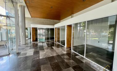 Local comercial en Renta Avenida Orizaba Xalapa Ver planta BAJA