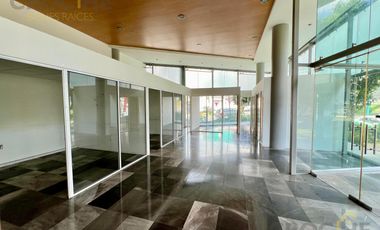 Local comercial en Renta Avenida Orizaba Xalapa Ver planta BAJA