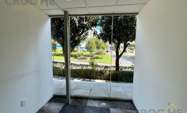 Local comercial en Renta Avenida Orizaba Xalapa Ver planta BAJA