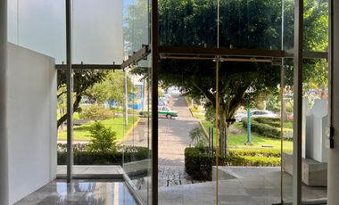 Local comercial en Renta Avenida Orizaba Xalapa Ver planta BAJA
