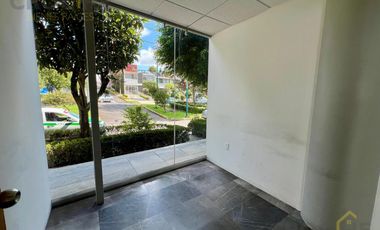 Local comercial en Renta Avenida Orizaba Xalapa Ver planta BAJA