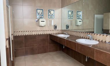 Oficina - San Sebastián