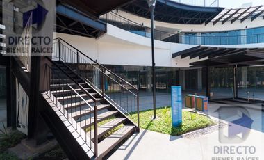 Locales en Renta en Plaza Animol