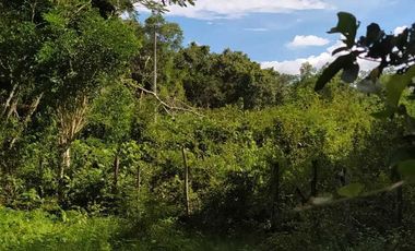 PRECIO DE OPORTUNIDAD!! EN VENTA TERRENO A PIE DE CARRETERA. YAXCABÁ, YUC