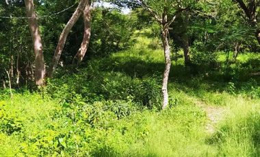 PRECIO DE OPORTUNIDAD!! EN VENTA TERRENO A PIE DE CARRETERA. YAXCABÁ, YUC