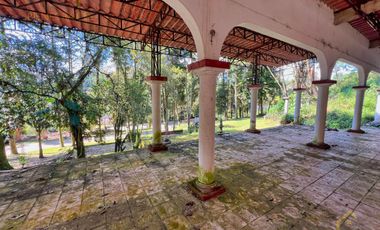 Local en renta en plaza Buena Vista campestre zona Briones Coatepec  Ver.