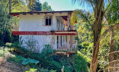 Local en renta en plaza Buena Vista campestre zona Briones Coatepec  Ver.