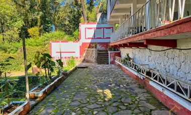 Local en renta en plaza Buena Vista campestre zona Briones Coatepec  Ver.