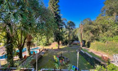 Local en renta en plaza Buena Vista campestre zona Briones Coatepec  Ver.