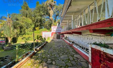 Local en renta en plaza Buena Vista campestre zona Briones Coatepec  Ver.