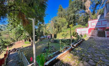 Local en renta en plaza Buena Vista campestre zona Briones Coatepec  Ver.