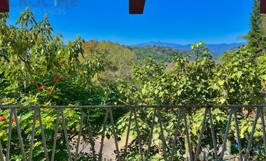 Local en renta en plaza Buena Vista campestre zona Briones Coatepec  Ver.