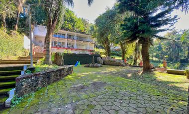 Local en renta en plaza Buena Vista campestre zona Briones Coatepec  Ver.