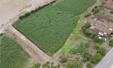 VENDO TERRENO DE 8000 M2 A PIE DE PISTA VALLE SAGRADO PISAC CUSCO PERU