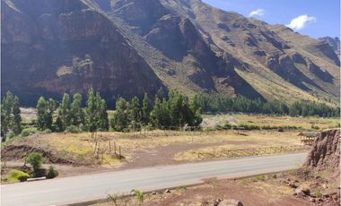 VENDO TERRENO DE 8000 M2 A PIE DE PISTA VALLE SAGRADO PISAC CUSCO PERU