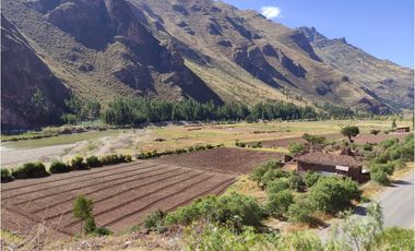 VENDO TERRENO DE 8000 M2 A PIE DE PISTA VALLE SAGRADO PISAC CUSCO PERU