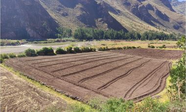 VENDO TERRENO DE 8000 M2 A PIE DE PISTA VALLE SAGRADO PISAC CUSCO PERU