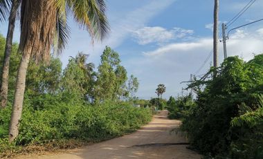 Land for sale in Bang Kao, Phetchaburi