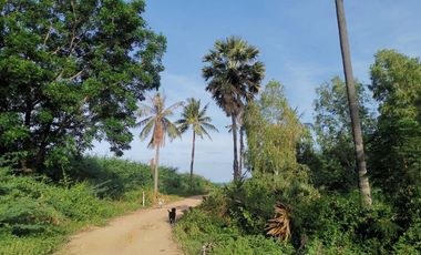 Land for sale in Bang Kao, Phetchaburi