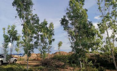 Land for sale in Bang Kao, Phetchaburi