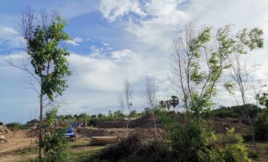 Land for sale in Bang Kao, Phetchaburi