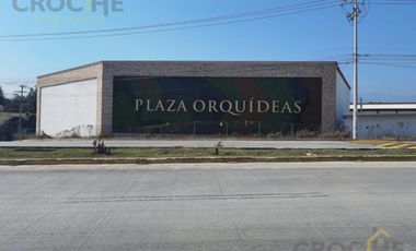 Locales disponibles en Coatepec Plaza Orquídeas planta alta
