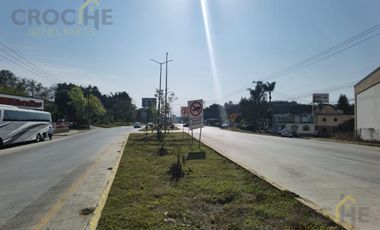 Locales disponibles en Coatepec Plaza Orquídeas planta alta