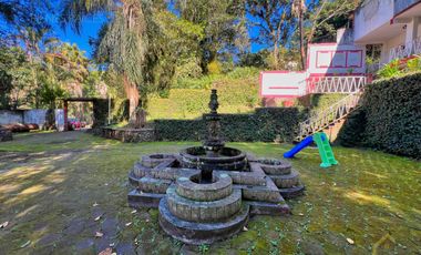 Local en renta en plaza Buena Vista campestre zona Briones Coatepec  Ver.