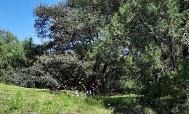 Terreno - Huasca de Ocampo Centro