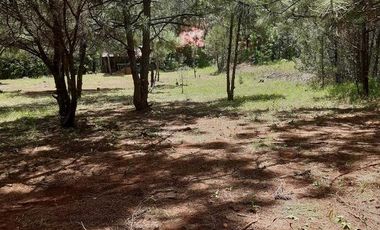 Terreno - Huasca de Ocampo Centro