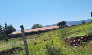 Terreno - Huasca de Ocampo Centro