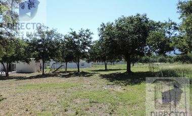 Quinta - Canoas