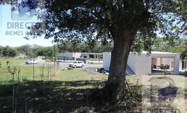 Quinta - Canoas