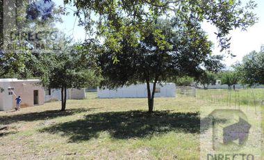 Quinta - Canoas