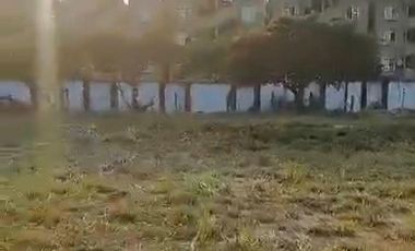 Terreno en en Venta, Comercial o Habitacional, Carret. Cosoleacaque-Minatitlán. Cosoleacaque, Ver.