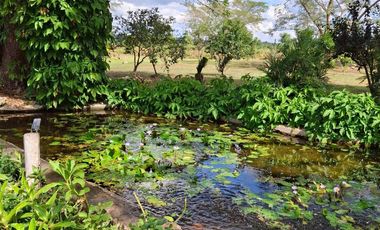 Hacienda en venta a solo 30 minutos de la ciudad de Mérida, Yucatán