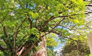 Hacienda en venta a solo 30 minutos de la ciudad de Mérida, Yucatán