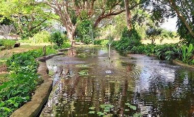 Hacienda en venta a solo 30 minutos de la ciudad de Mérida, Yucatán