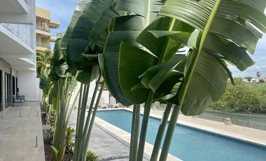 BAY VIEW