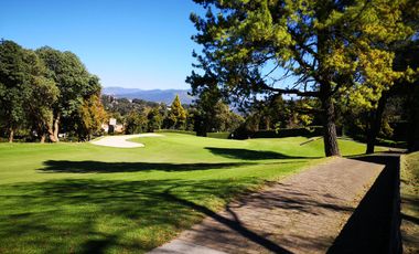 Acción del Club de Golf los Encinos
