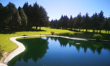Acción del Club de Golf los Encinos