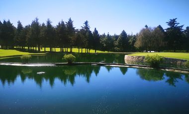 Acción del Club de Golf los Encinos